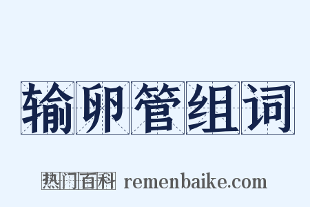 输卵管组词是什么意思的图片